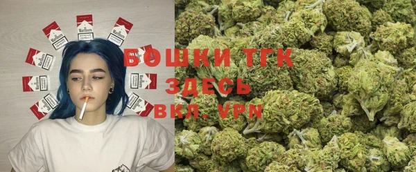 бошки Алексин