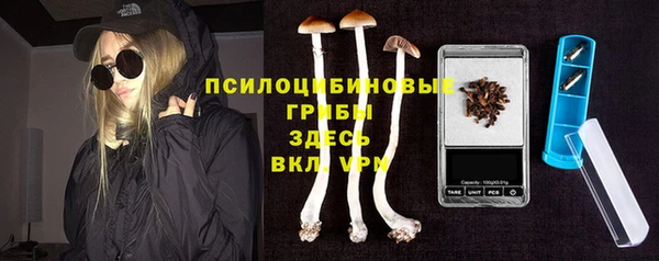 бошки Алексин