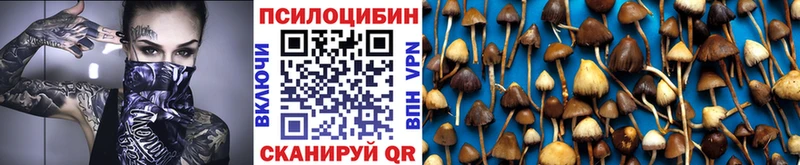 Галлюциногенные грибы мухоморы  купить наркоту  Билибино 